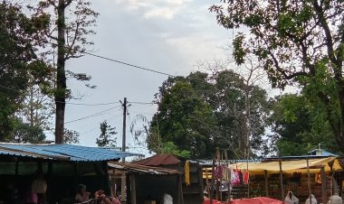 तूफान आया,भंवर मधुमक्खी मंडराया,मच गया अफरातफरी,, बाजार छोड़ जान बचाने भागने लगे लोग