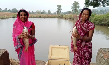 मेहनत का जाल, समृद्धि की मछली: जशपुर की महिलाओं ने तालाब से बदली जिंदगी